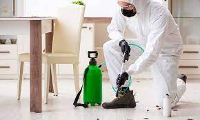 Vaughan_Bed_Bug_Exterminator_Expert