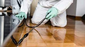 Same Day Halton Hills Pest Control