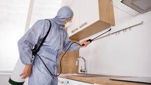 Complete Pest Control Management in Toronto