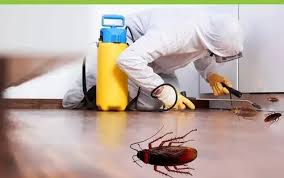 Cockroach Exterminator Brampton