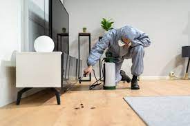 Professional Pest Control Toronto