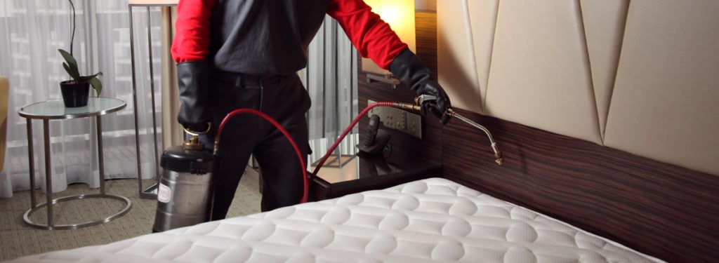 Toronto Bed Bug Exterminator