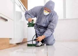 Bed Bug Extermination services