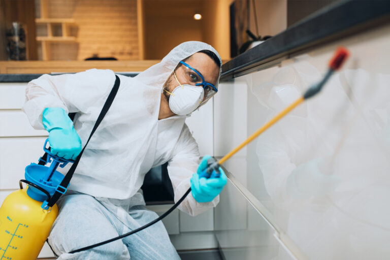 Choosing the Best Mosquito Control Company in Brampton
