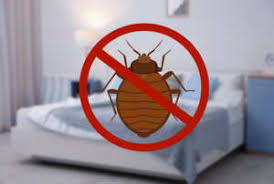 Bed Bug Exterminator Toronto