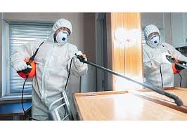 Remove Cockroaches in Toronto