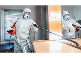 Best Pest Control Brampton