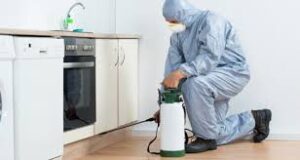 Best Pest Control Brampton