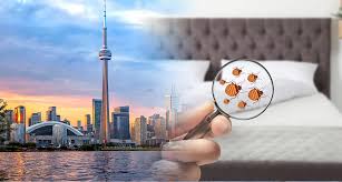 Bed Bugs Removal Toronto