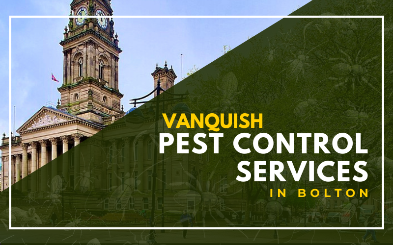 Vanquish Pest Control Services in Bolton