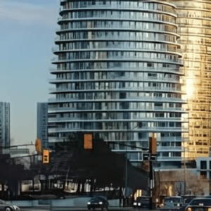 Pest Control Mississauga 