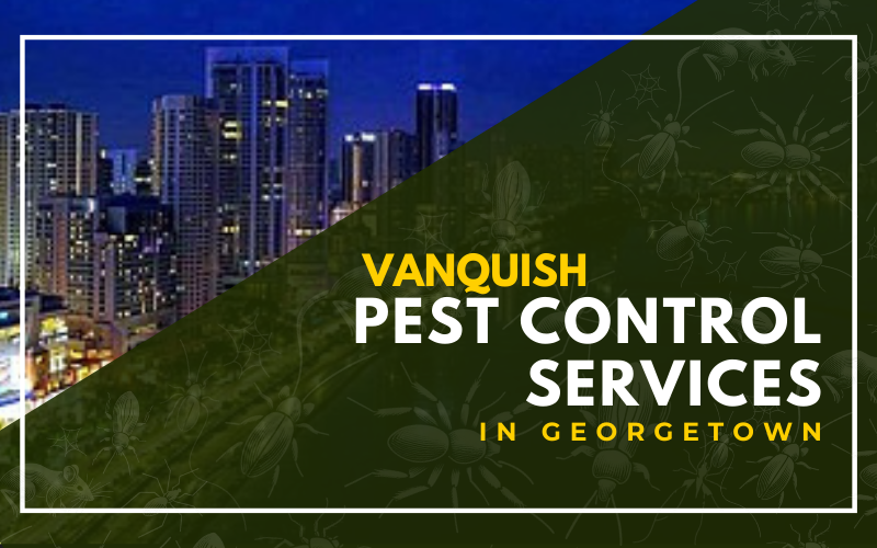 Vanquish Pest Control Services in Georgetown