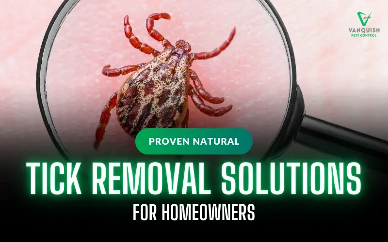Natural tick removal