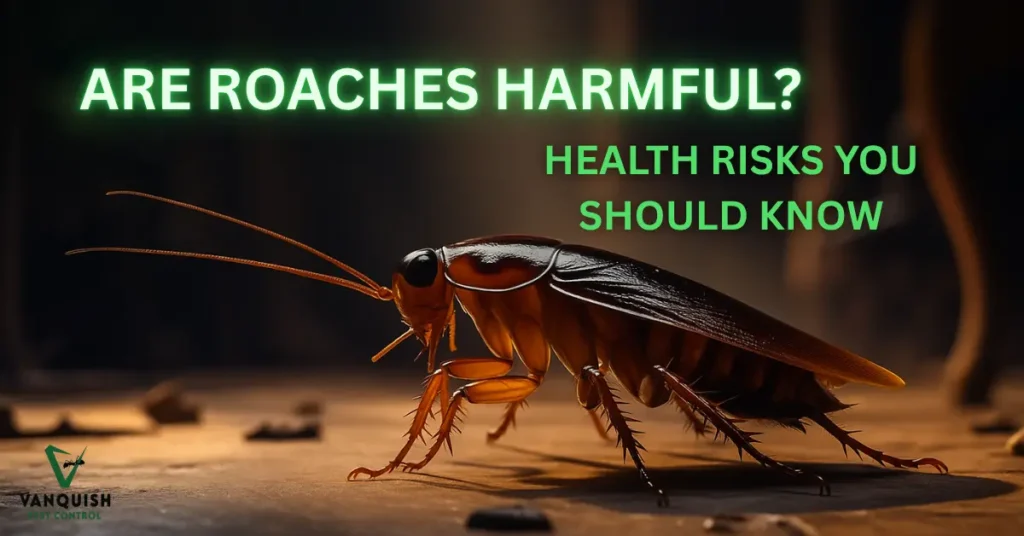 ARE ROACHES HARMFUL
