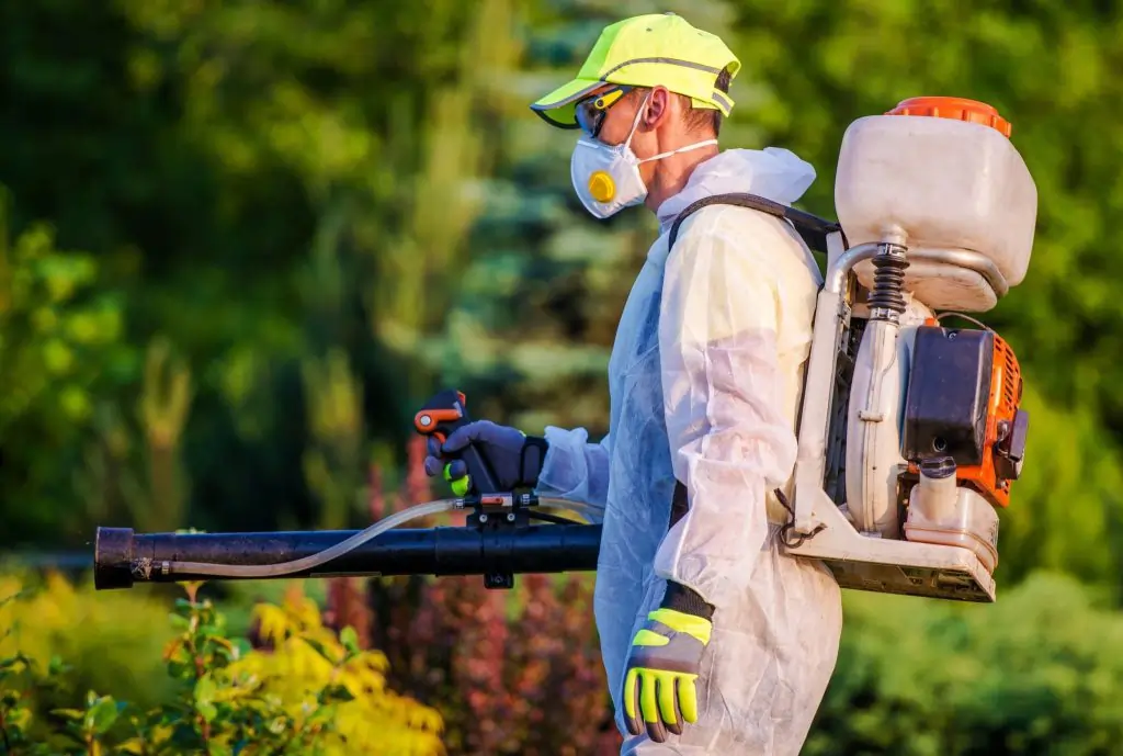 professional pest control