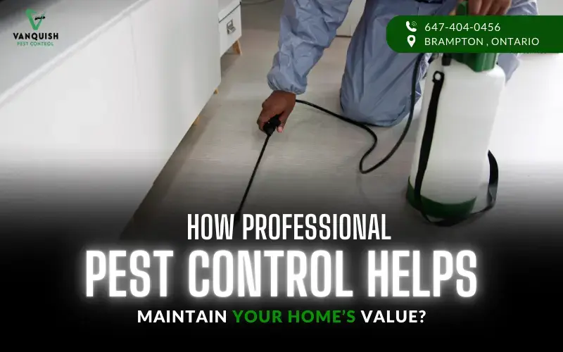 professional pest control