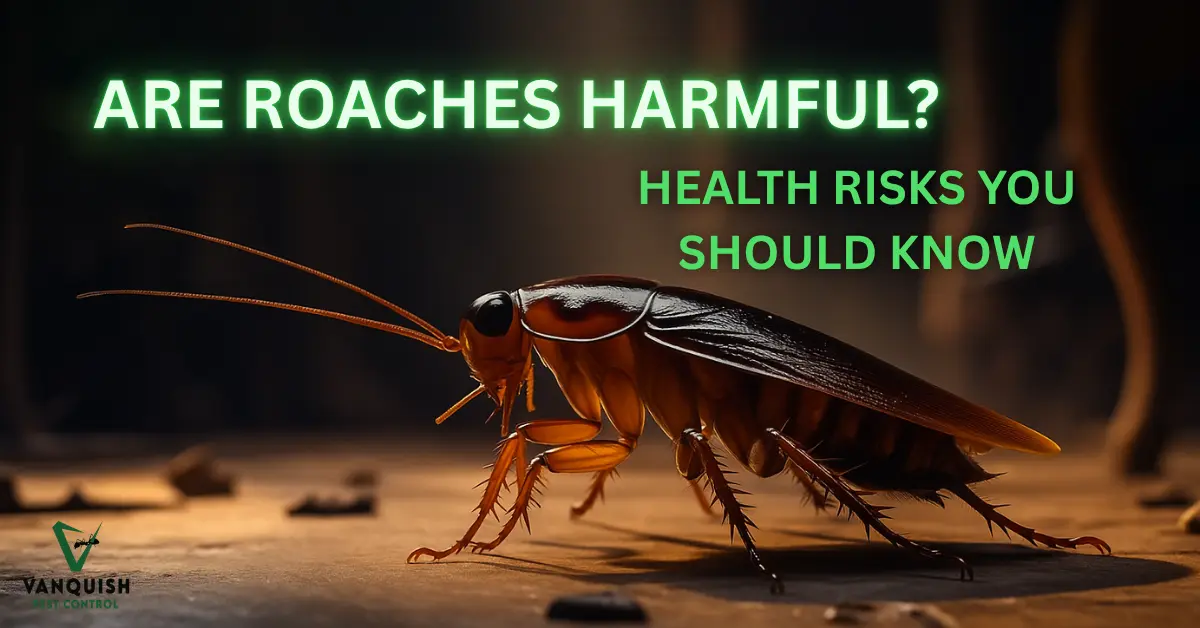 ARE ROACHES HARMFUL